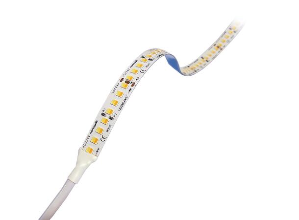 LEDstrip ELC TW ECO 24V 9,6W 1500lm 5m Tunable White 2400-6500K