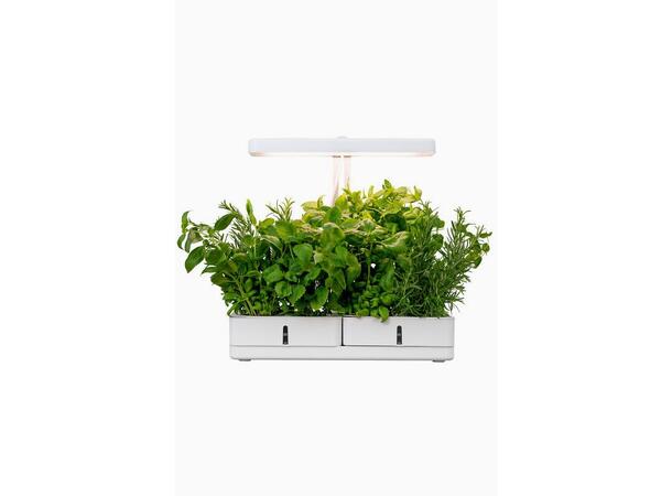 Plantelys Daisy 20W/835 1450lm Selges uten garanti pga lagertømming