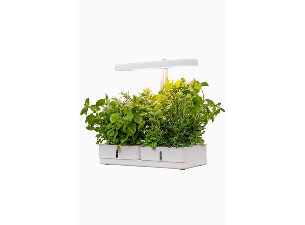 Plantelys Daisy 20W/835 1450lm Selges uten garanti pga lagertømming