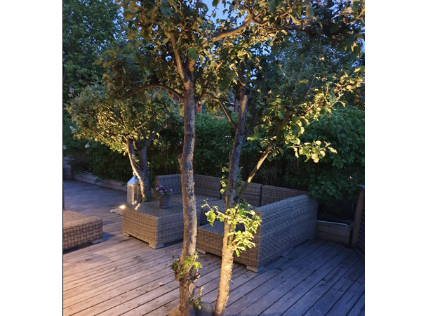 Hagespot Catania med jordspyd IP65 Utskiftbar GU10 