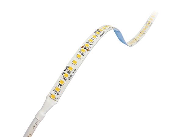 LEDstrip ELC 927 Pro 24V 16W 2500lm 5m