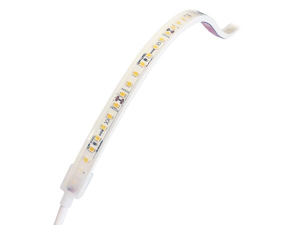 LEDstrip ELC 927 Pro 24V 9,6W 1400lm 5m IP65 
