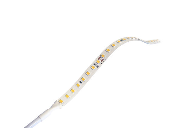 LEDstrip ELC 927 Pro 24V 9,6W 1500lm 5m