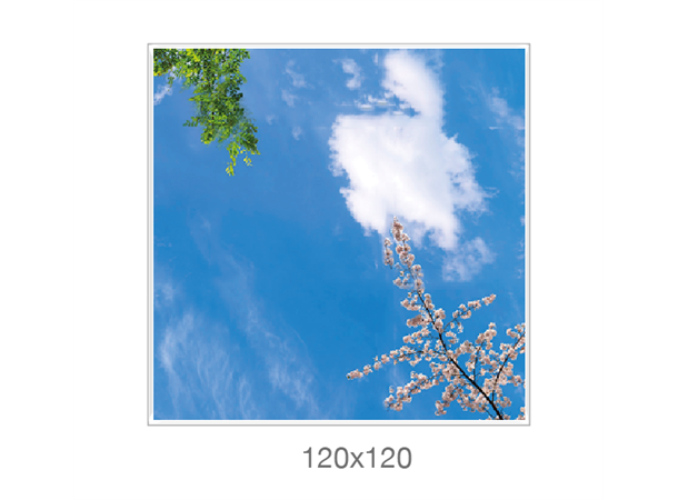 105621
