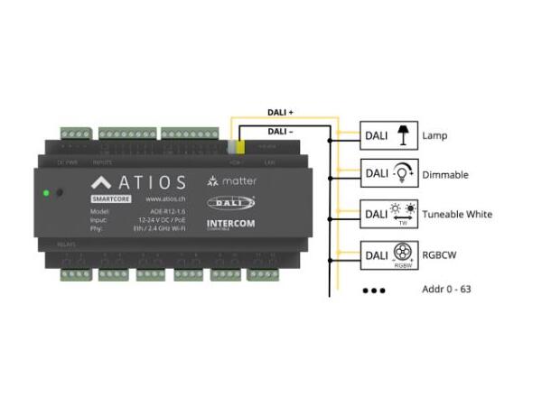 SmartCore ADE-R12 Smarthus, DALI-2 Utganger via DALI - Matter- og rele 