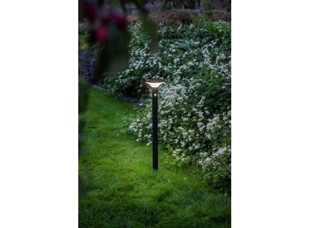 LED Solcelle ARLO pullert 85cm Selges uten garanti pga lagertømming