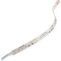 LEDstrip DTW ELC 24V 12W 1200lm 5m Dim to Warm 1800-3000K