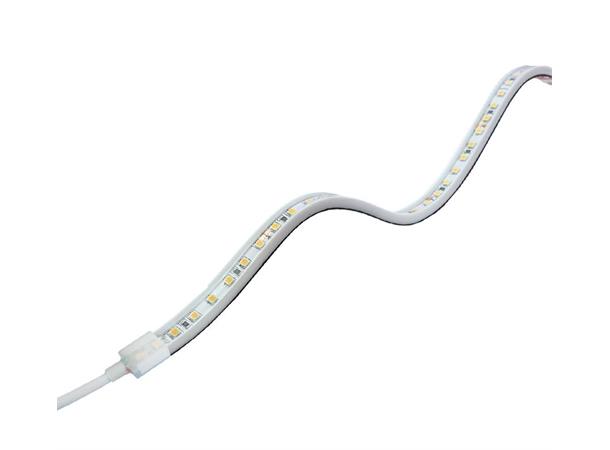 LEDstrip ELC 827 24V 8W 1040lm 10m IP65 IP65