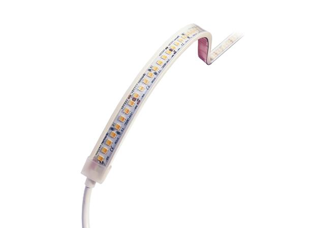 LEDstrip ELC TW ECO 24V 9,6W 1400lm 5m IP65 Tunable White 2400-6500K