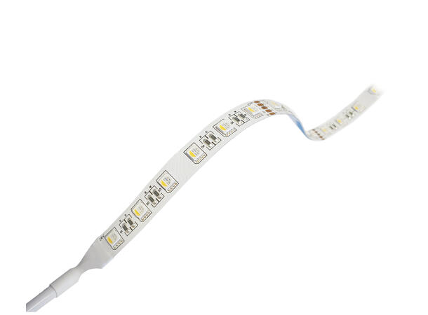 LEDstrip ELC RGBW Pro 24V 23W 1500lm 5m RGBW (W=2700K)