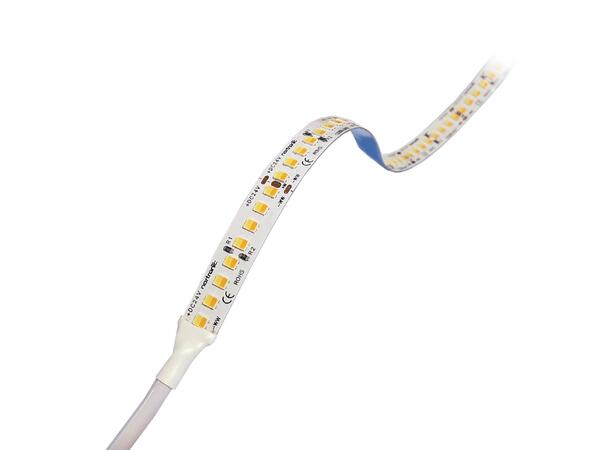 LEDstrip ELC TW 24V 16W 2000lm 5m IP20 Tunable White 2200-6500K 1000+1000lm/m