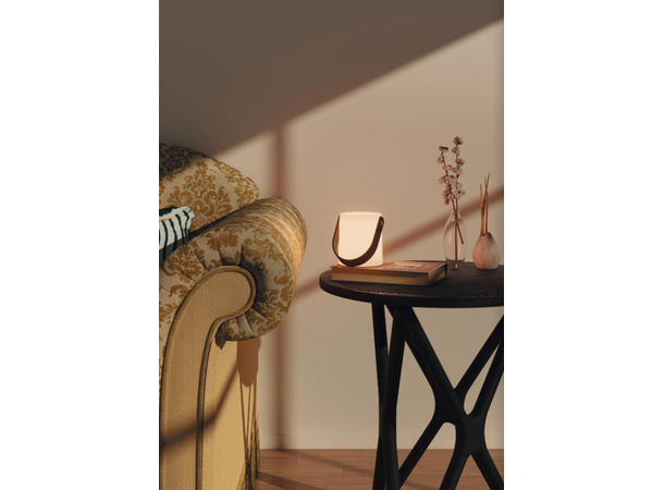 Lampe dekor 2700K 25lm display12stk IP20 Batteridrevet 3xAA (ikke inkludert)