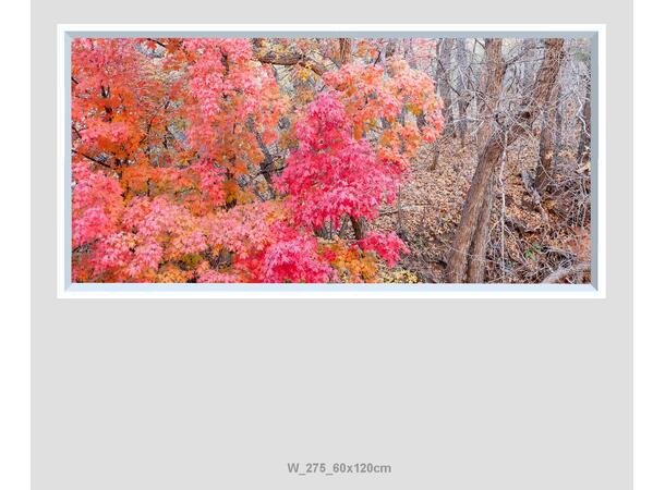 Lumlyx Wall LED 60x120cm 24V 36W 6500K 