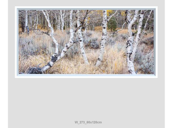 Lumlyx Wall LED 60x120cm 24V 36W 6500K 