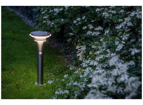 LED Solcelle ARETTE pullert 85cm Selges uten garanti pga lagertømming