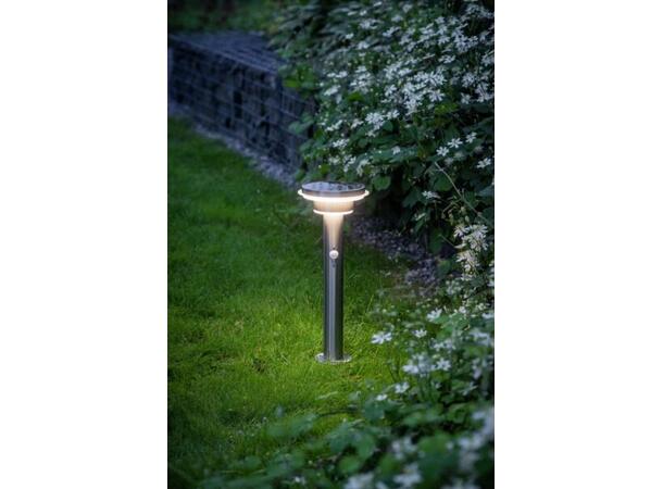 LED Solcelle ARETTE pullert 85cm Selges uten garanti pga lagertømming 