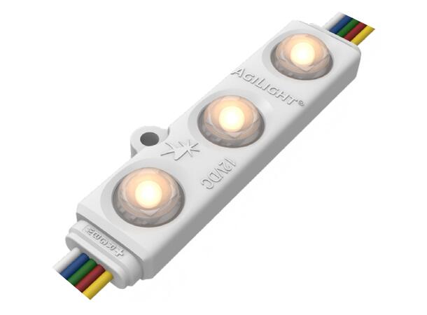 Skiltmoduler Ultra 650 12V RGBW 100 moduler med 200mm avstand 