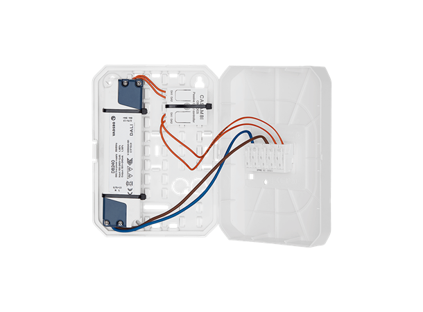 Casambi til DALI 1-100 koblingsboks Wago Vadsbox Wago Linect
