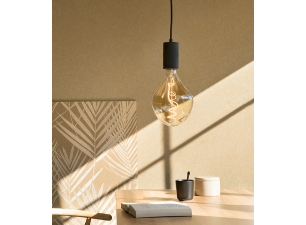 Organic Evo Gold E27 818 6W 300lm DIM XXL 