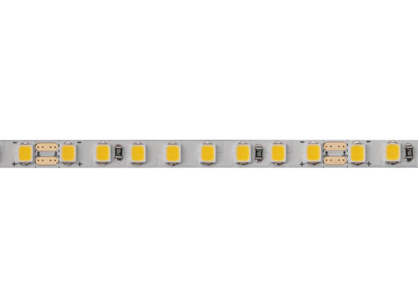 LEDstrip 927 24V 6W 870lm 5m 5mm Loox5 LED3141 