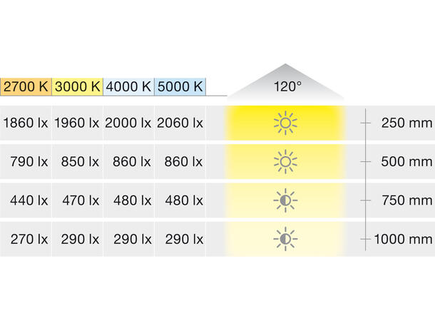 LEDstrip 927 24V 6W 870lm 5m 5mm Loox5 LED3141 