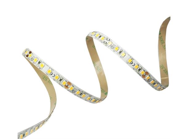 LEDstrip ELC 827 24V 8W 1200lm 3m IP20 