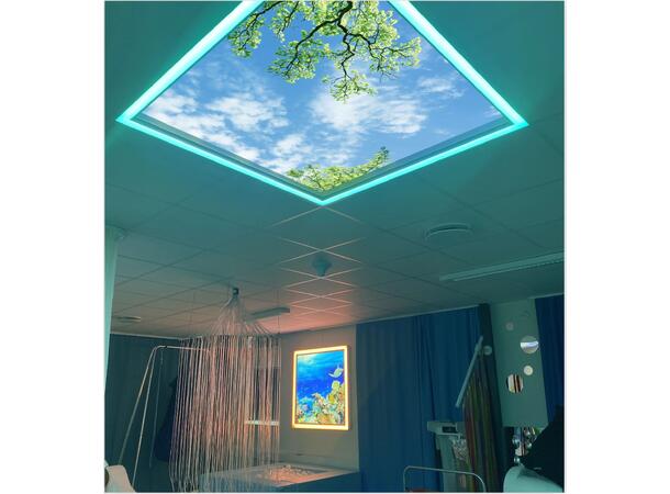 Lumlyx Sense RGB 1200x1200 Uten motiv og uten driver 