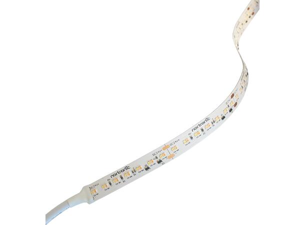 LEDstrip ELC DTW 24V 12W 1200lm 5m Dim to Warm 1800-2400K