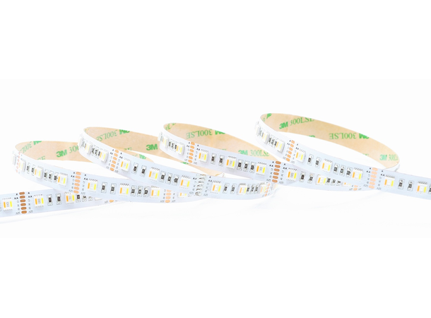 LEDstrip ELC RGB+TW 24V 19,2W 5m IP20 TW=2400+6500K