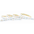LEDstrip RGB+TW ELC 24V 19,2W 5m IP20 TW=2400+6500K