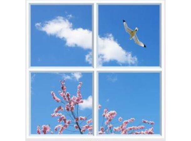 Lumlyx Sky LED 60x120cm 24V 6500K Med utenpåliggende ramme 