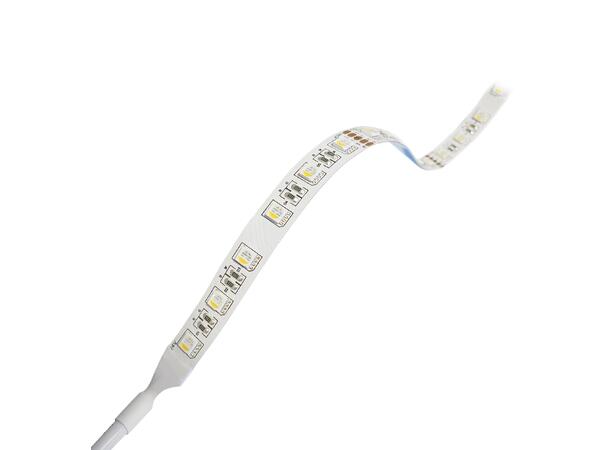 LEDstrip ELC RGBW 24V 23W 1200lm 5m RGBW (W=2700K)