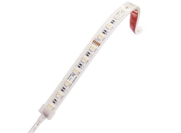 LEDstrip ELC RGBW Pro 24V 23W 1400lm 5m IP65 RGBW (W=3000K)