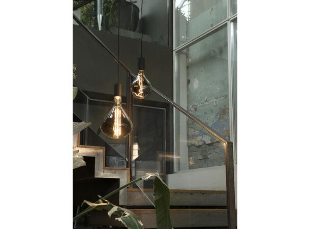 Organic Evo Titan E27 818 6W 90lm DIM XXL 