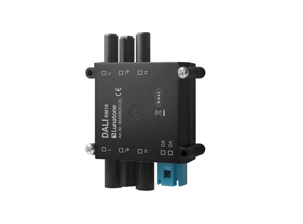 DALI RM16 NO Wieland plugg 