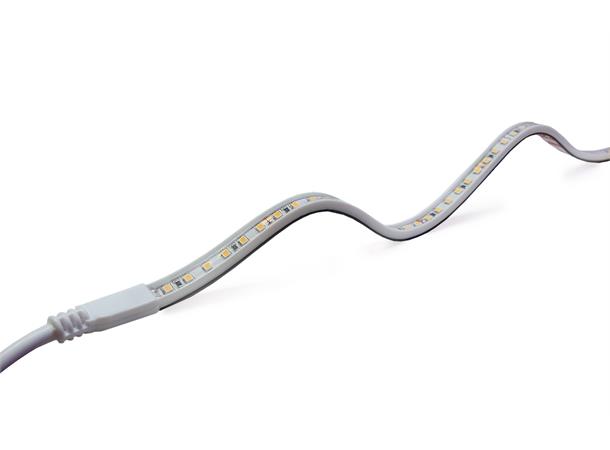 LEDstrip 930 ELC 24V 14,4W 1100lm 5m IP IP67