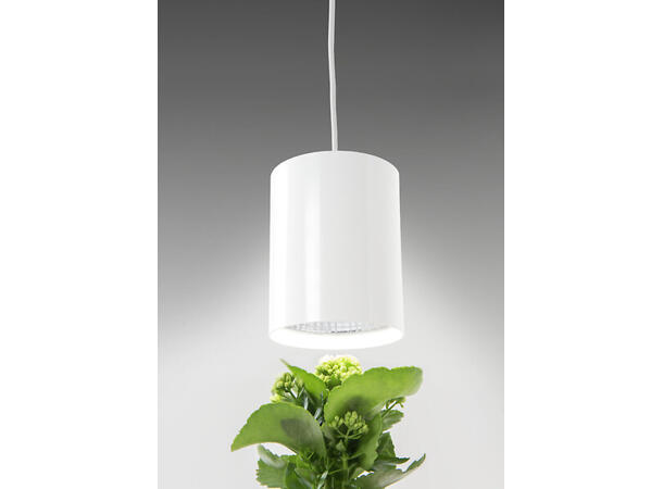 Plantelys Fiora E27 9,5W 835 hvit Pendelarmatur 