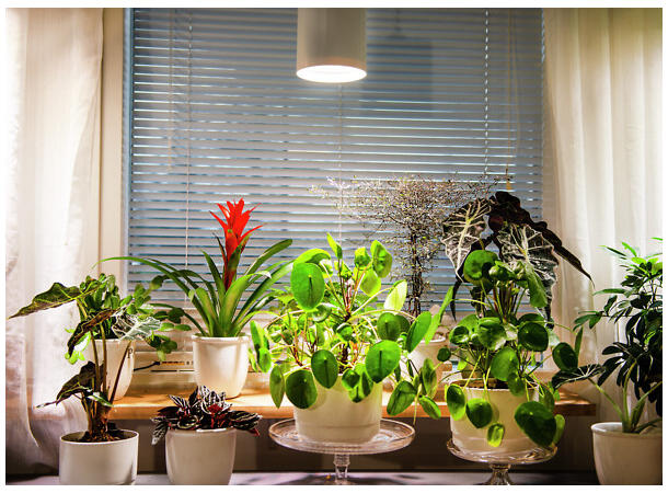 Plantelys Fiora E27 9,5W 835 hvit Pendelarmatur 